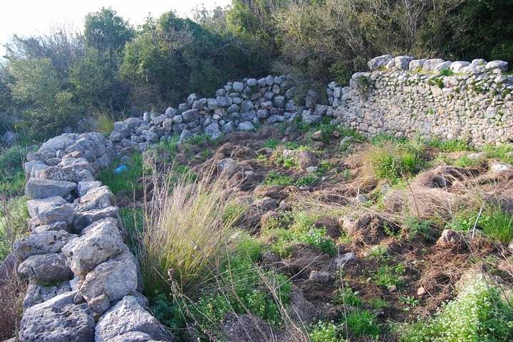 Hurvat (Khirbet) Mehoz : sheepfold