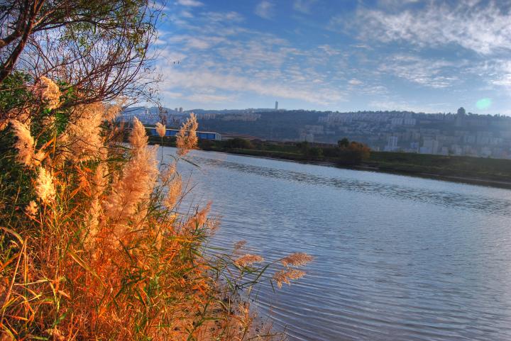 Kishon park near Fisherman's wharf