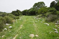 Roman road near Shimshit