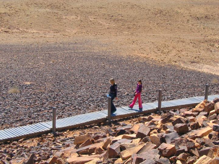 Ramon crater - Saw mill