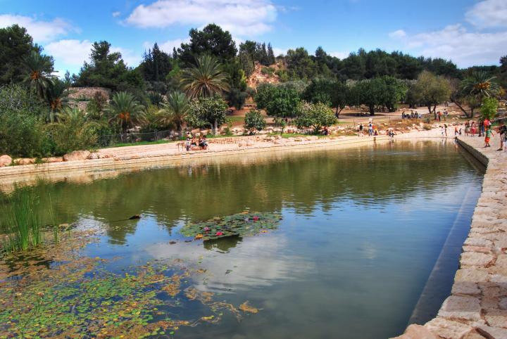 The lake in the valley of Springs