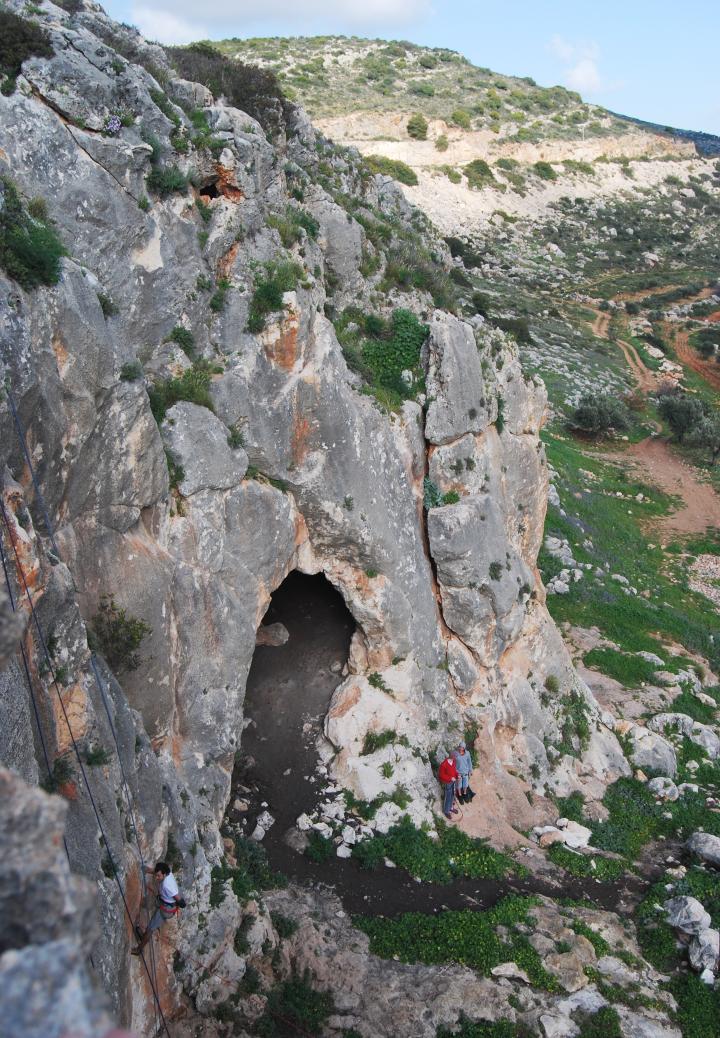 Pigeons caves