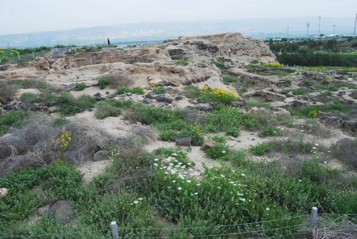 Tell Beit She'an: view towards east