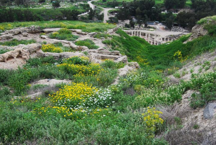 Tell Beit She'an: view towards south-east