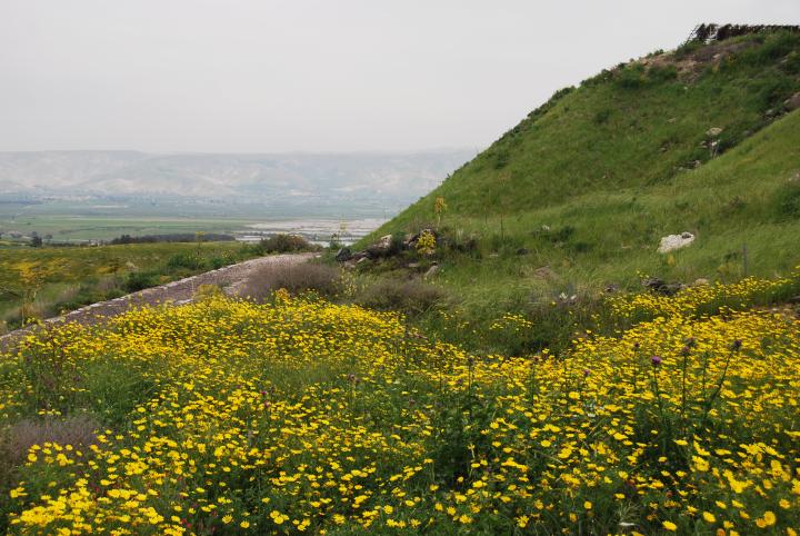 View towards the east - Jordan