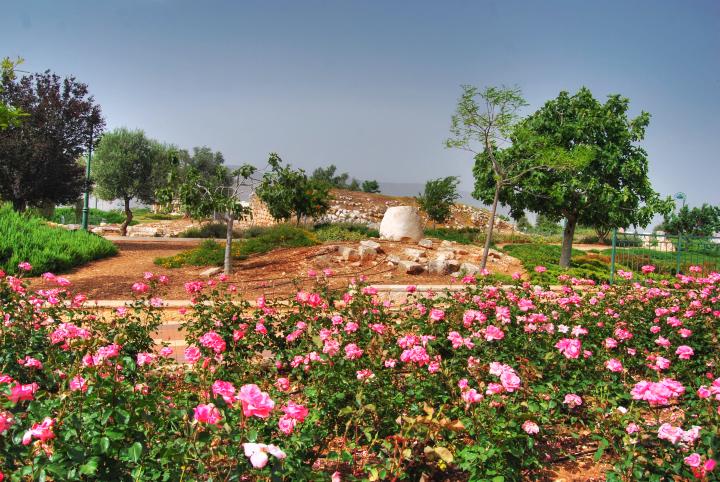 Hurvat Kav - the garden - view from the south