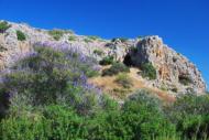 Carmel caves