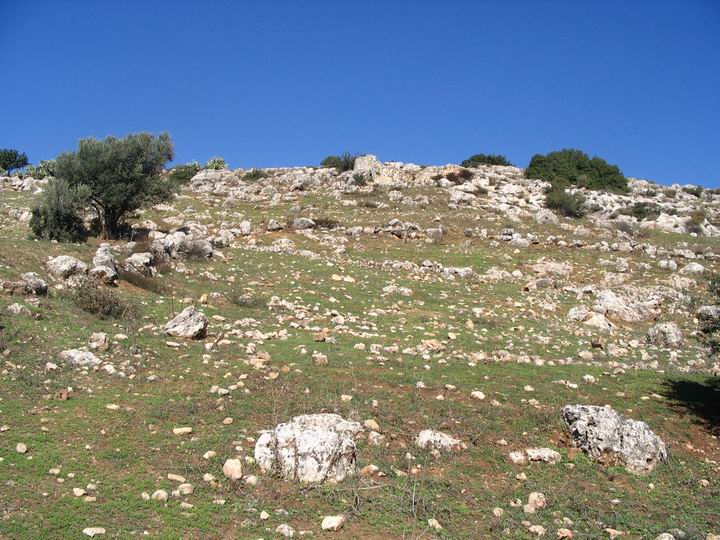 Closer look on the hill side of Kefar Hannania.