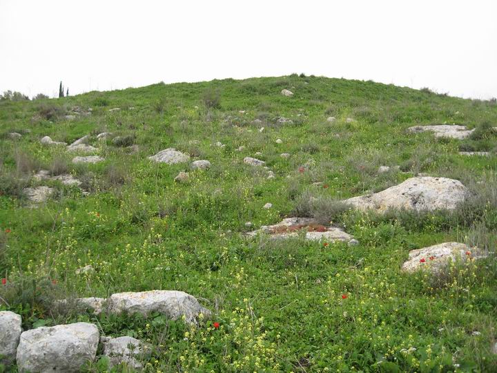 View of the eastern hill - looking from the north side.