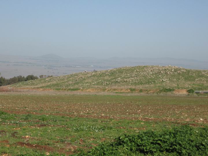 Tell Ya'af: View of the north hill - from the west.