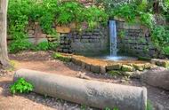 Banias (Hermon) stream - upper section marvels