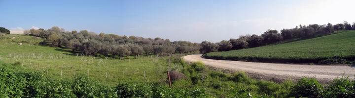 View towards the east from BethLehem in the Galilee.