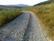 Roman road in Hashofet creek